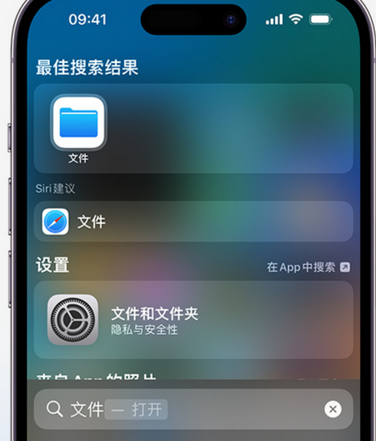 宜章apple维修中心分享iPhone文件应用中存储和找到下载文件 