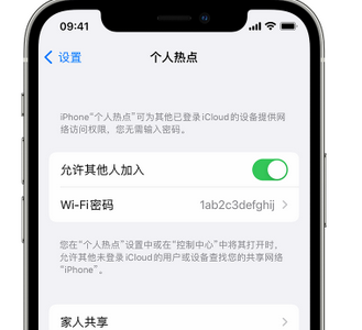 宜章apple服务站点分享iPhone上个人热点丢失了怎么办 