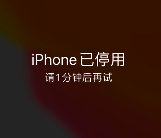 宜章苹果手机维修分享:iPhone 显示“不可用”或“已停用”怎么办？还能保留数据吗？ 