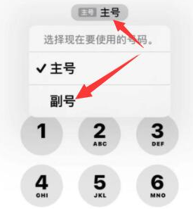 宜章苹果14维修店分享iPhone 14 Pro Max使用副卡打电话的方法 