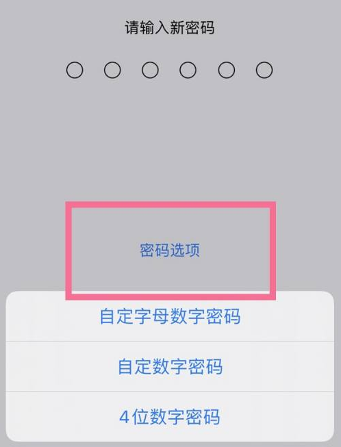 宜章苹果14维修分享iPhone 14plus设置密码的方法 