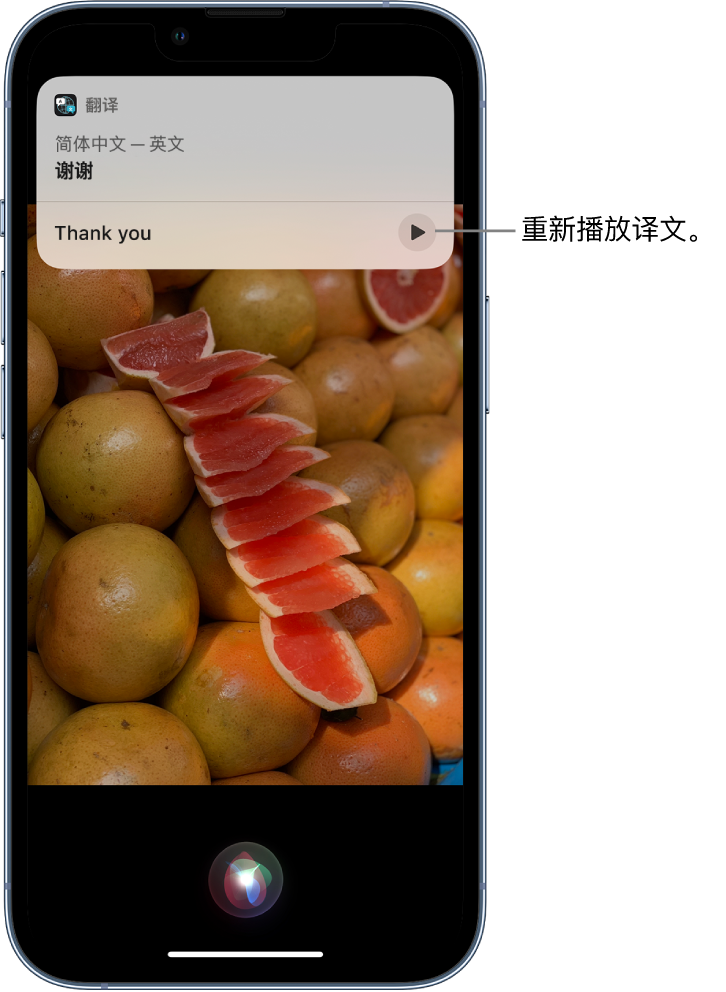 宜章苹果14维修分享 iPhone 14 机型中使用 Siri：了解 Siri 能帮你做什么 