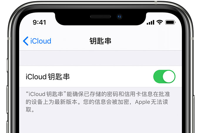 宜章苹果手机维修分享在 iPhone 上开启 iCloud 钥匙串之后会储存哪些信息 