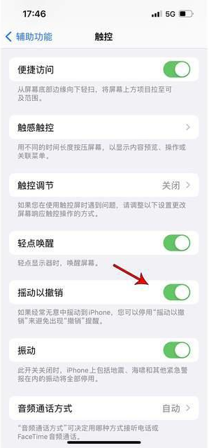 宜章苹果手机维修分享iPhone手机如何设置摇一摇删除文字 